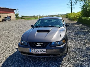 FORD Mustang Thumbnail 2
