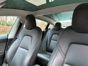 TESLA Model 3 Thumbnail 10