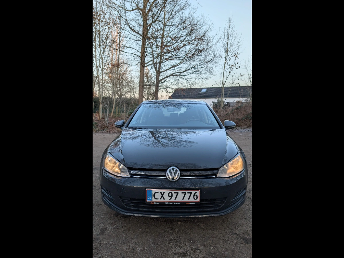 VOLKSWAGEN 1,6 Tdi Bluemotion 1