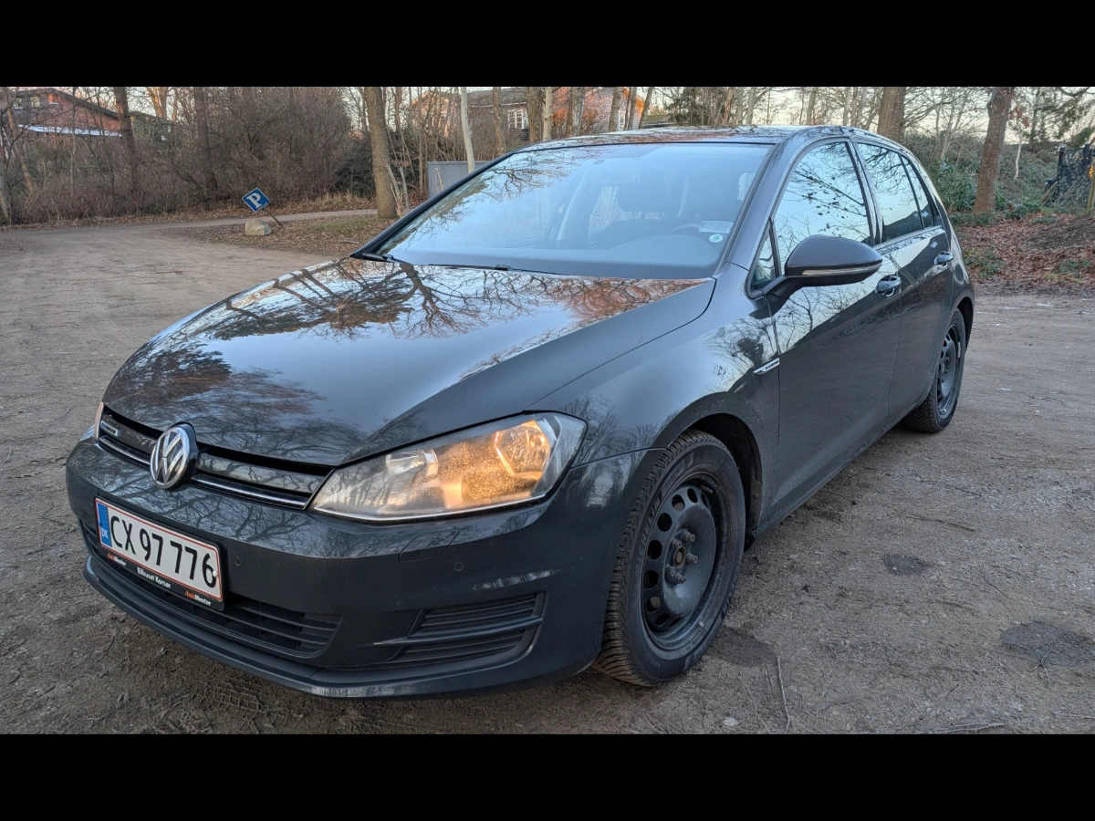 VOLKSWAGEN 1,6 Tdi Bluemotion