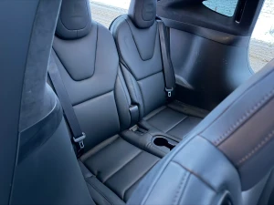 TESLA Model X Thumbnail 12