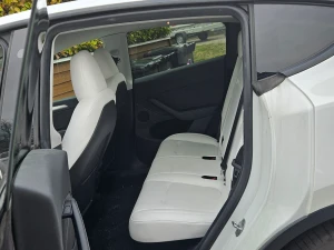 TESLA Model Y Thumbnail 10