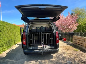 CITROËN Berlingo Thumbnail 9