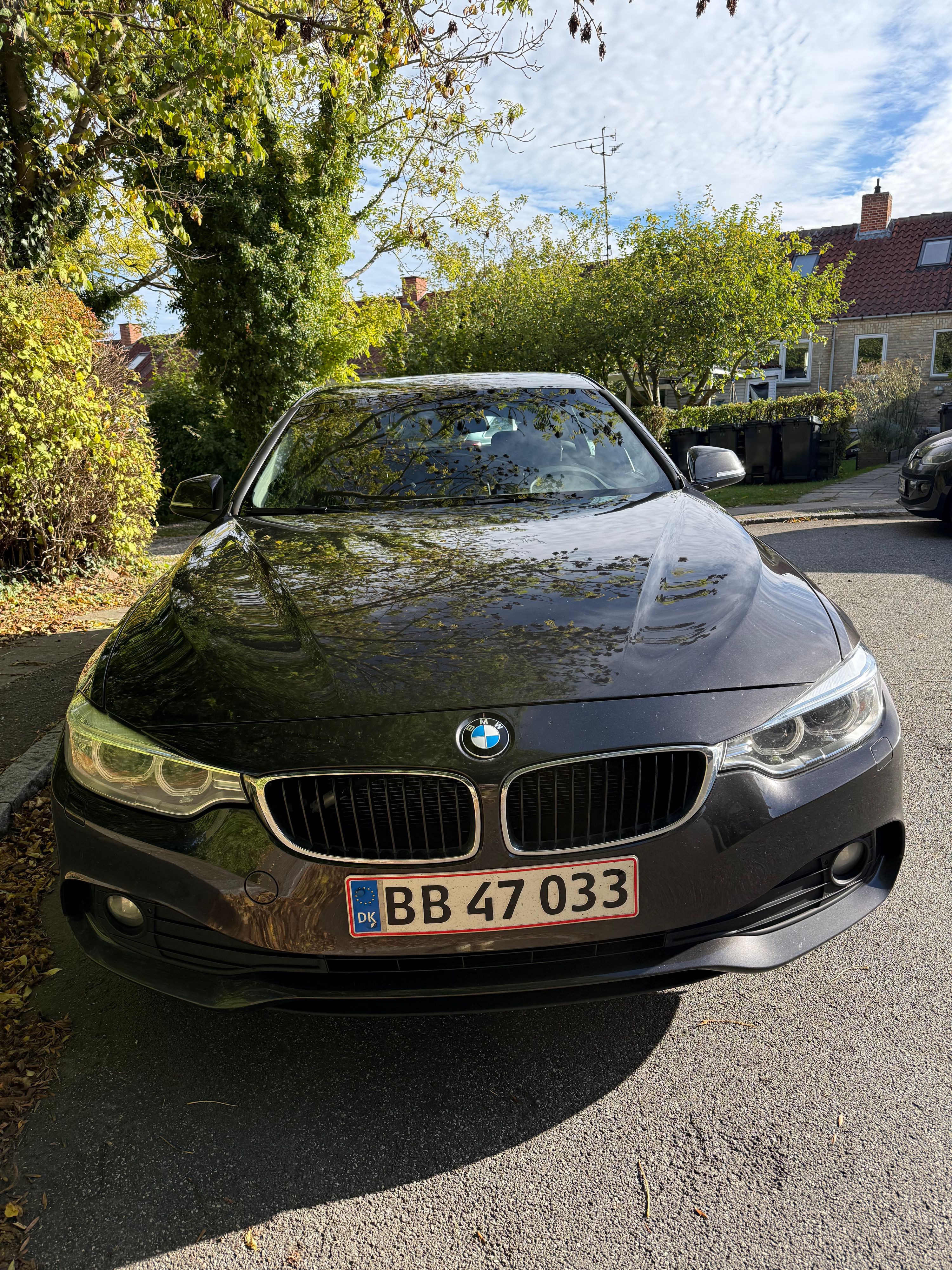 BMW 4-Serie Thumbnail 8