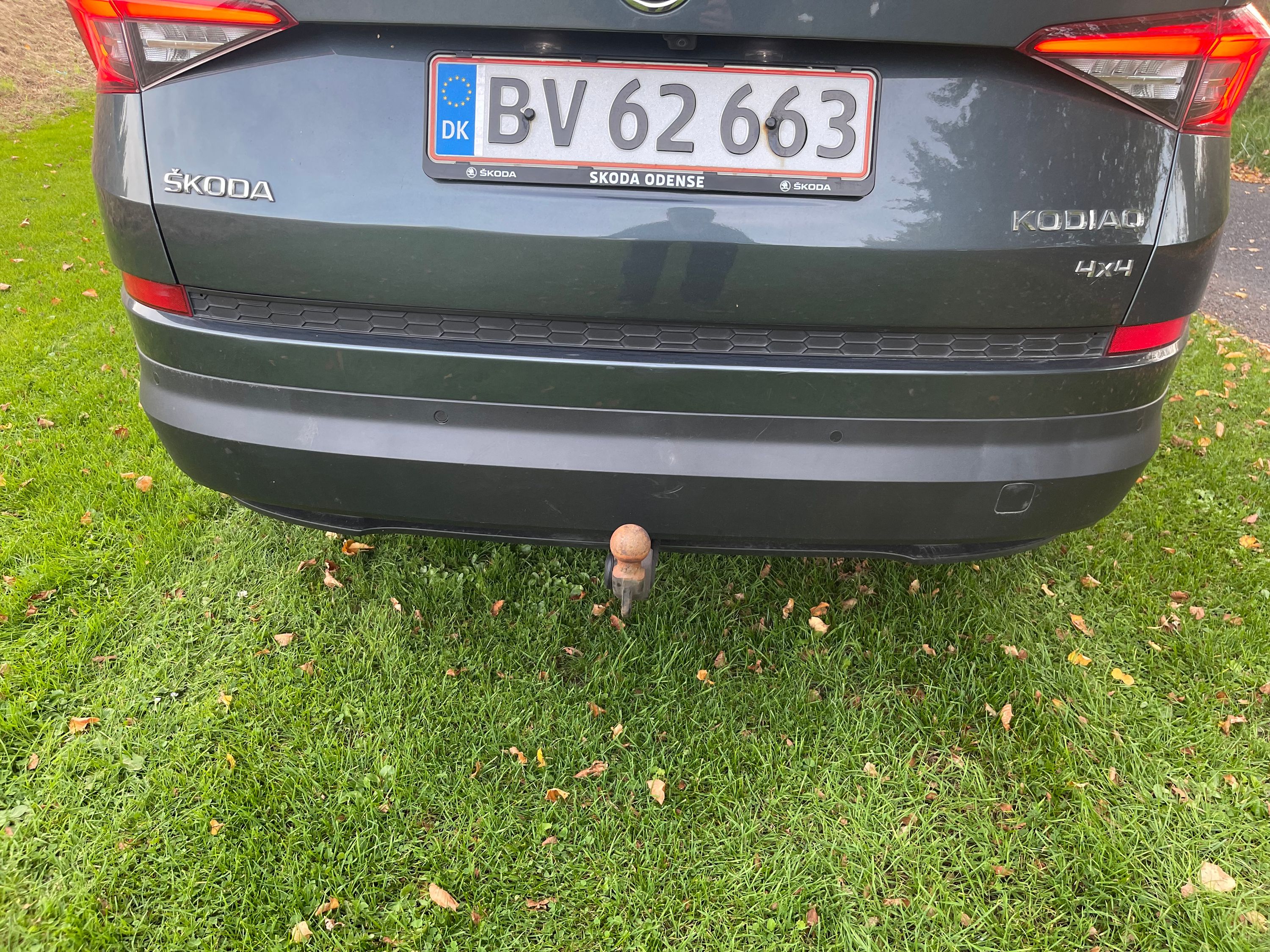 SKODA Kodiaq Thumbnail 4