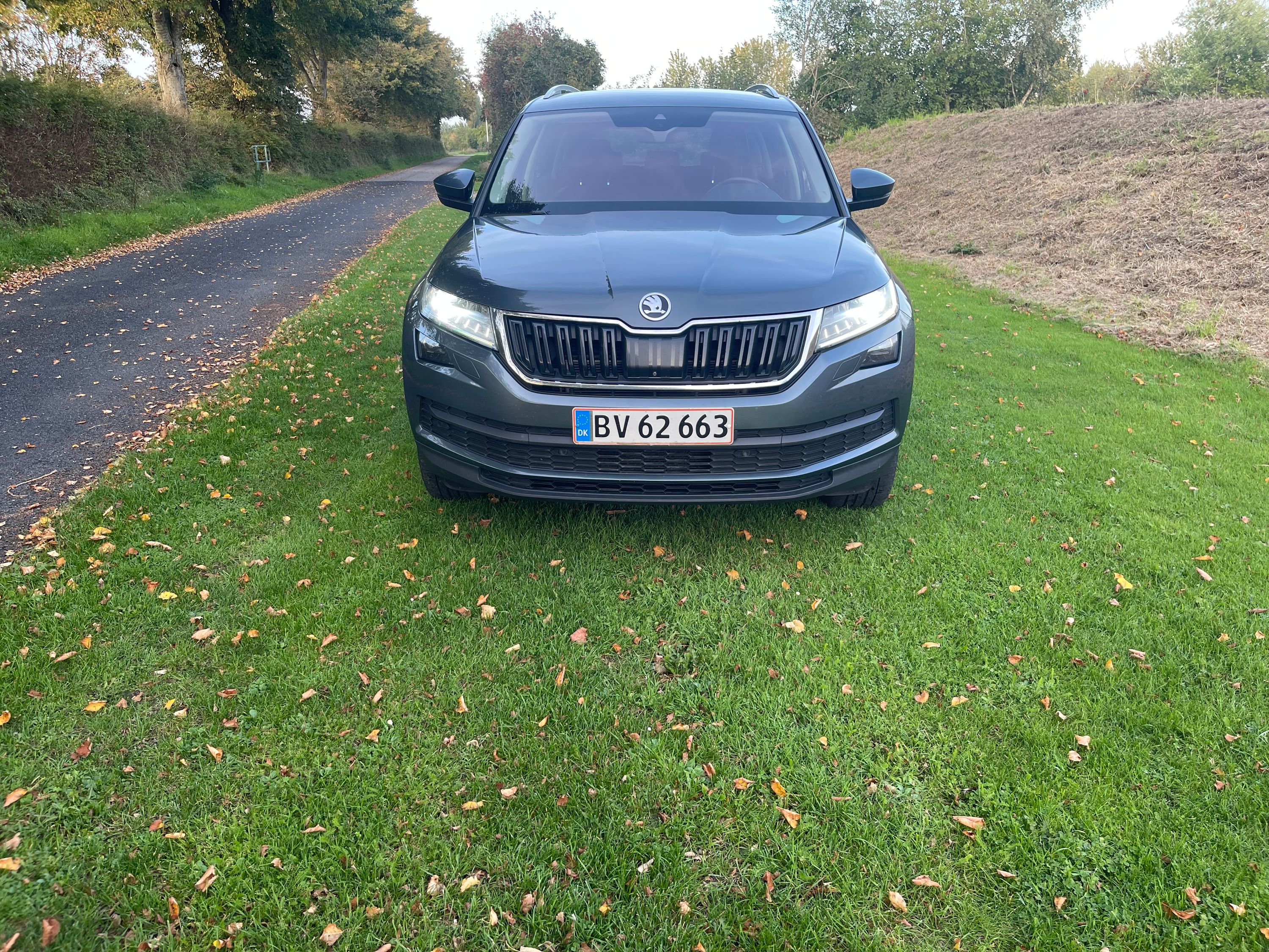 SKODA Kodiaq Thumbnail 2