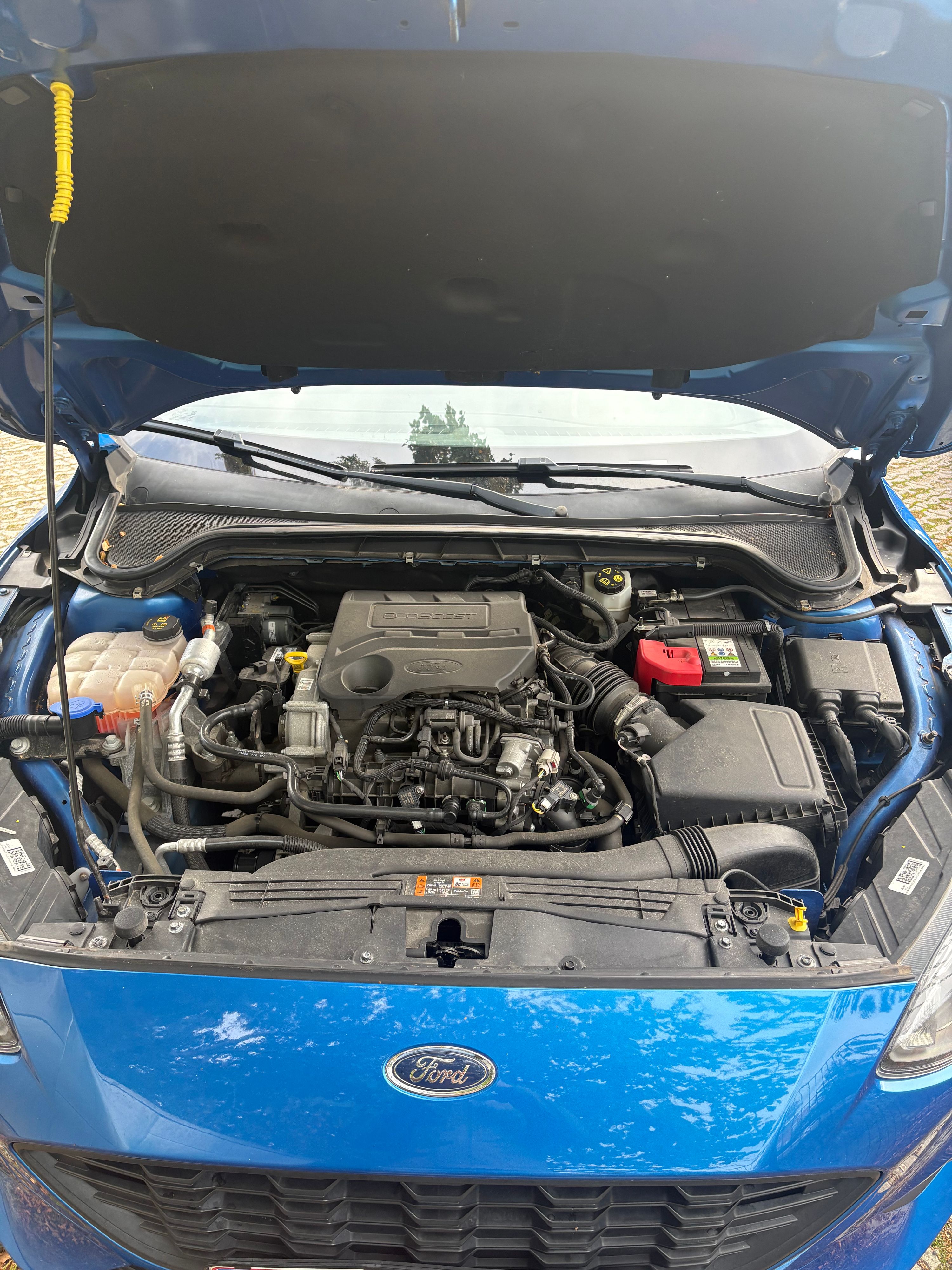 FORD Focus Thumbnail 7