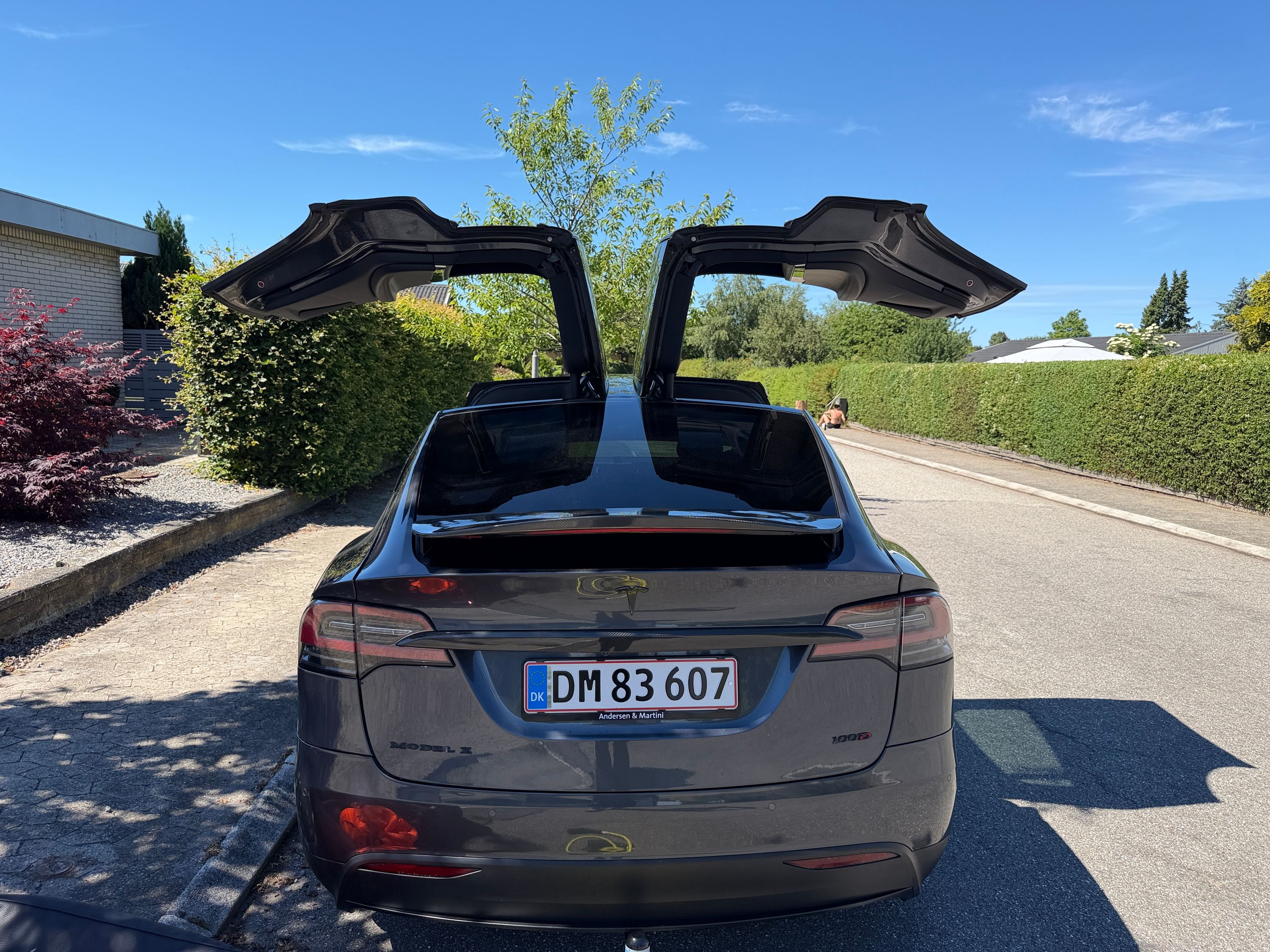 TESLA Model X Thumbnail 7