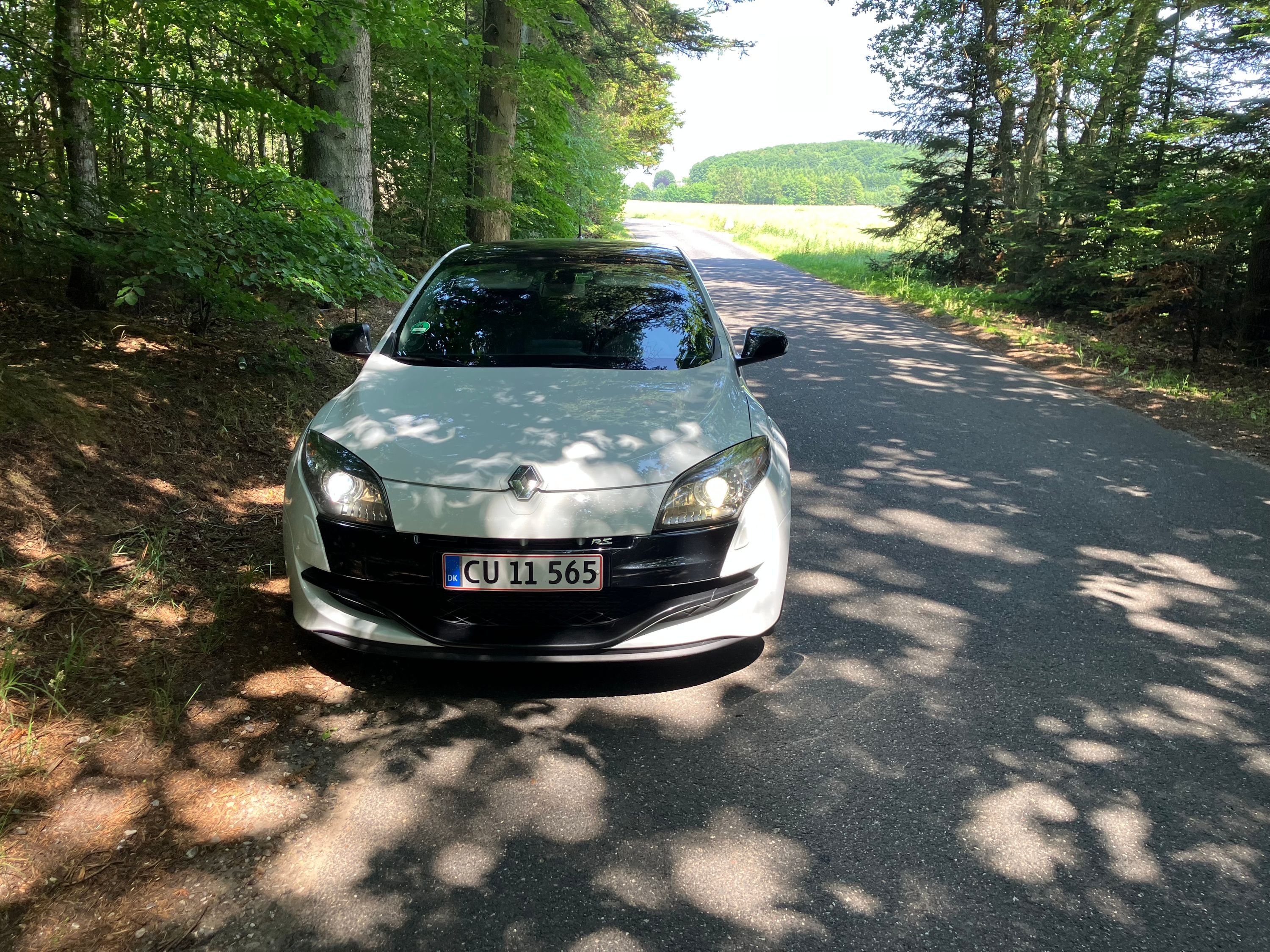 RENAULT Mégane Rs Thumbnail 7