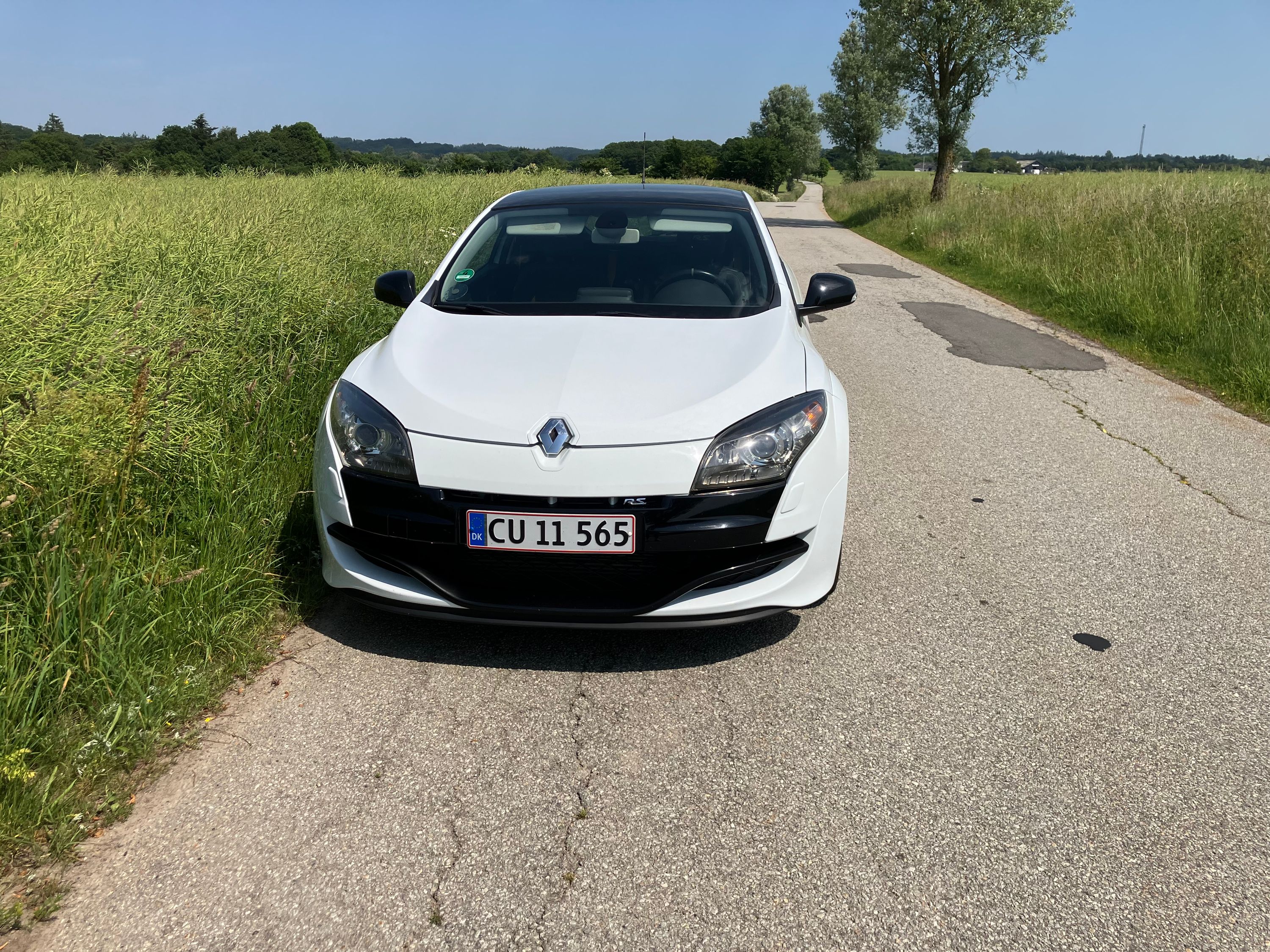 RENAULT Mégane Rs Thumbnail 6