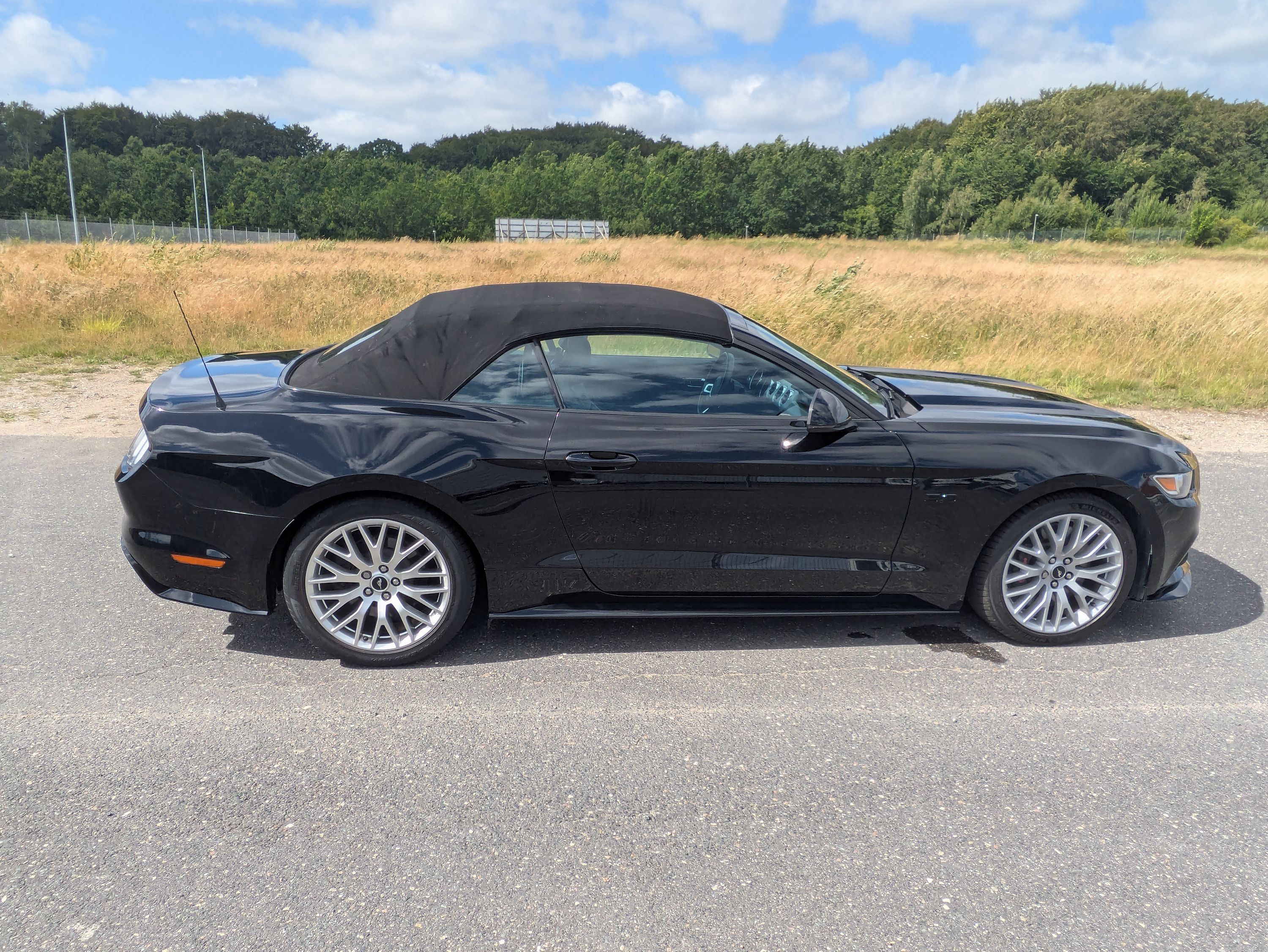 FORD Mustang Thumbnail 6