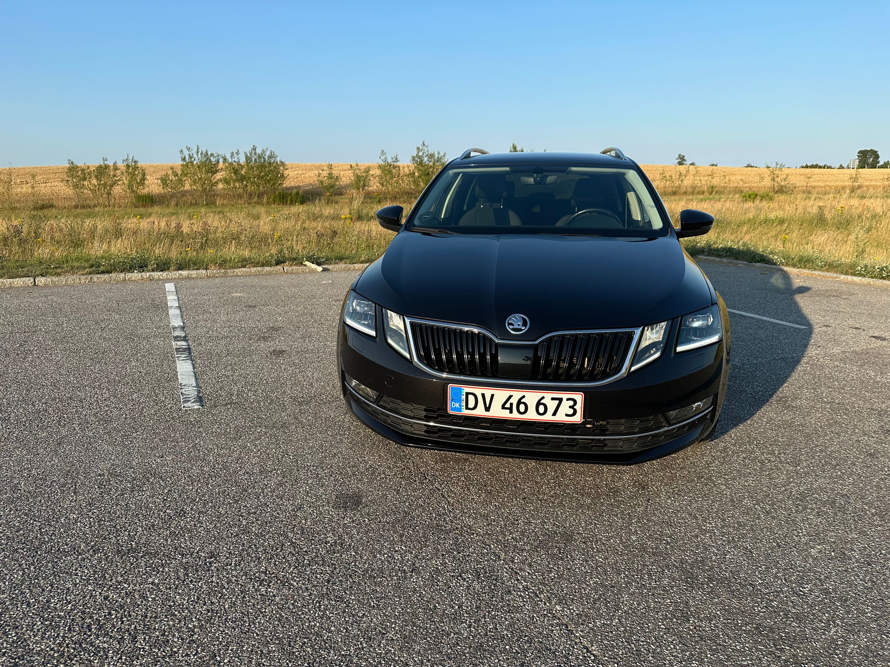 SKODA Octavia Thumbnail 11