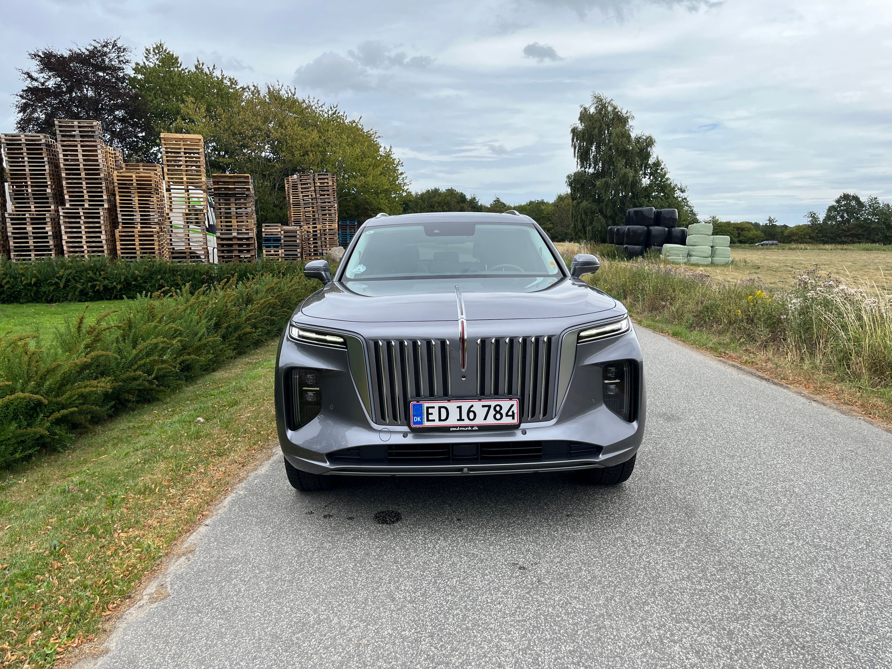 FAW Hongqi E-Hs9 Thumbnail 5